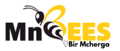 MnBees Bir Mcherga 